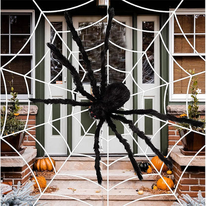 Spider and Web Decor