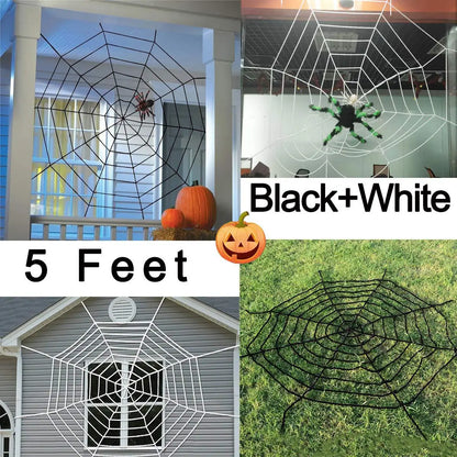 Spider and Web Decor